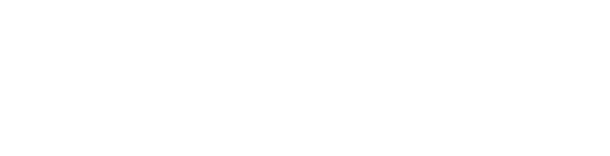 SNG Logo